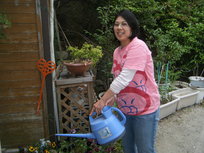 DSCF0739.JPGのサムネール画像のサムネール画像