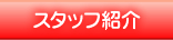 スタッフ紹介